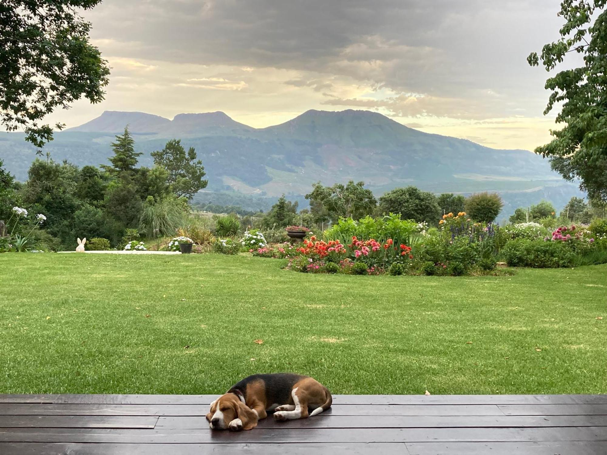 Bramber Cottage Hogsback, Living With Joy! Экстерьер фото